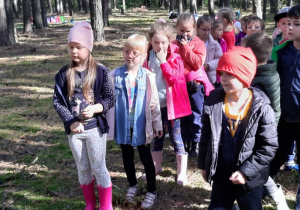 dzieci w lesie podczas zabawy rzutu szyszką do celu